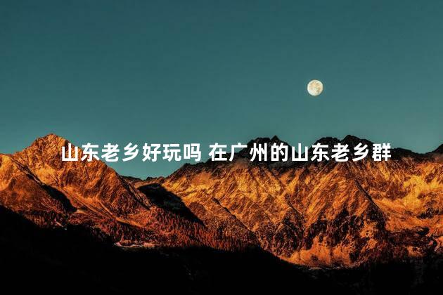 山东老乡好玩吗 在广州的山东老乡群